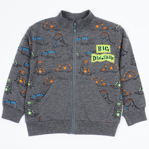 Boys' Big Dinosaur' Printed Sweatshirt (1-4y) - Clothes4Kids