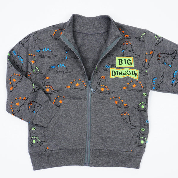 Boys' Big Dinosaur' Printed Sweatshirt (1-4y) - Clothes4Kids