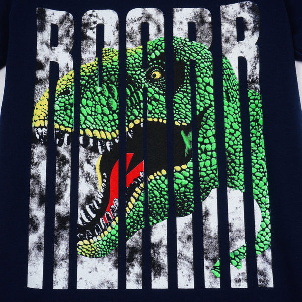 Boys' Dinosaur' Printed T-Shirt (8-12y) - Clothes4Kids