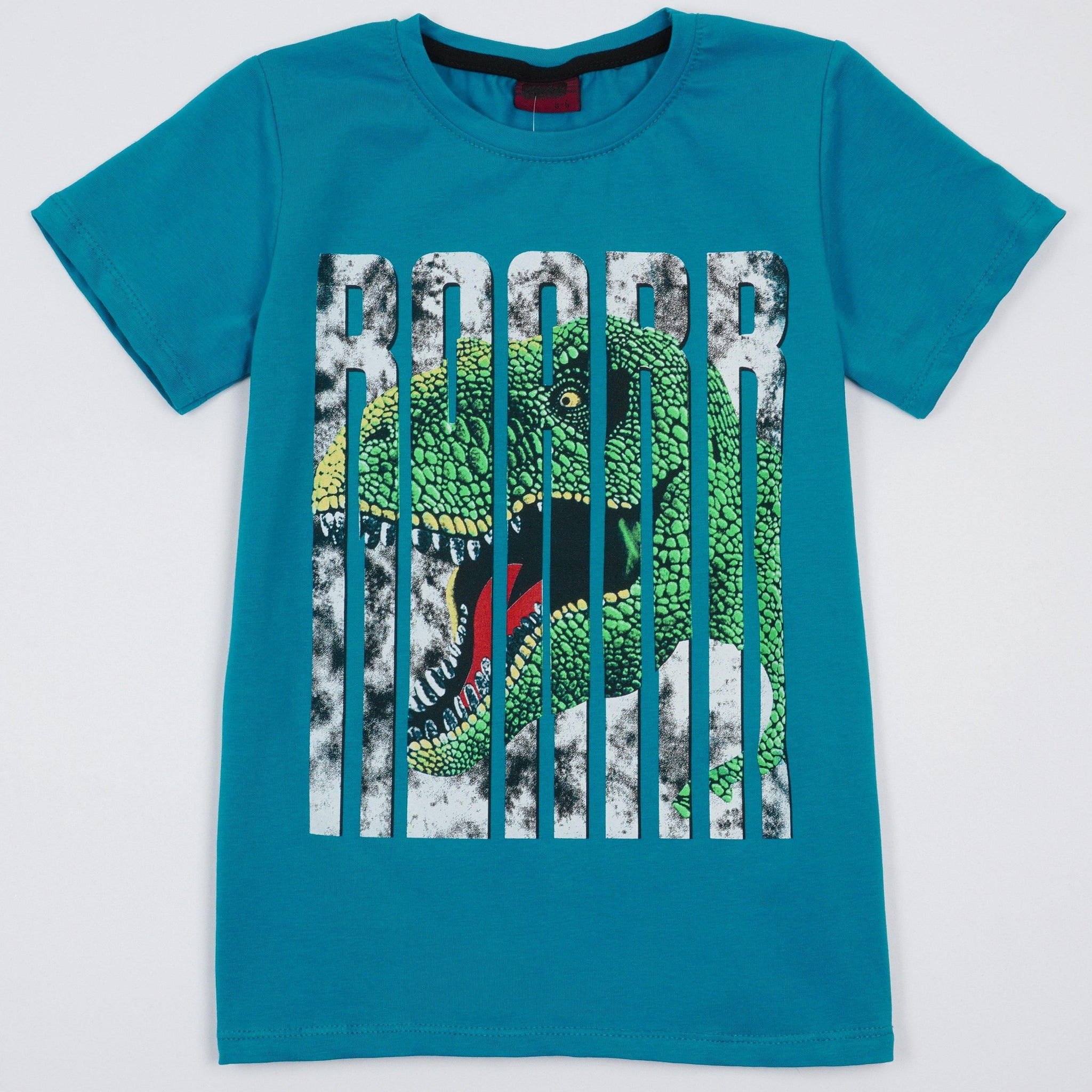 Boys' Dinosaur' Printed T-Shirt (8-12y) - Clothes4Kids